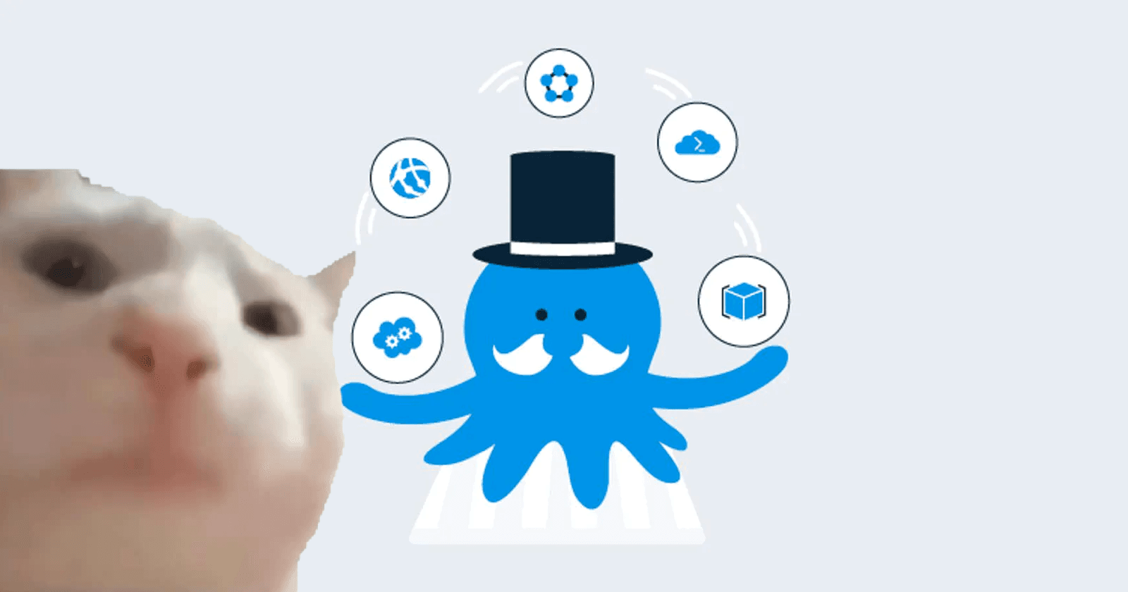 My Octopus hackathon entry